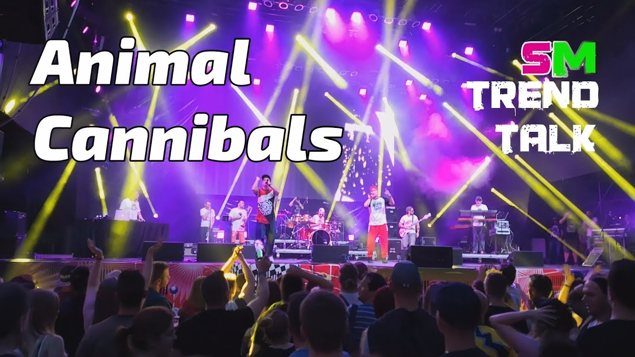 Az Animal Cannibals Ausztáliába készül(ne) | Budapest Park interjú